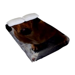 Fitted Sheet (Full/ Double Size) 