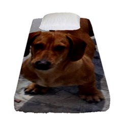 Fitted Sheet (Single Size) 