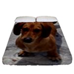 Weiner Dog Fitted Sheet (Queen Size)