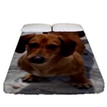 Weiner Dog Fitted Sheet (King Size)