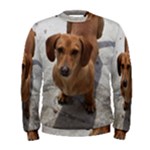 Weiner Dog Men s Sweatshirt