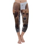 Weiner Dog Capri Winter Leggings 