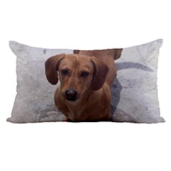 22 x14  Lumbar Throw Cushion Case (Two Sides) 
