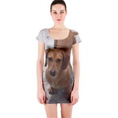 Short Sleeve Bodycon Dress Front Short Sleeve Bodycon Dress Front