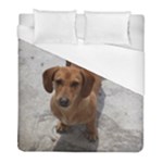 Weiner Dog Duvet Cover (Full/ Double Size)