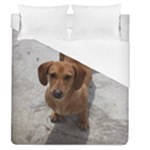 Weiner Dog Duvet Cover (Queen Size)