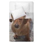 Weiner Dog Duvet Cover Double Side (Single Size)