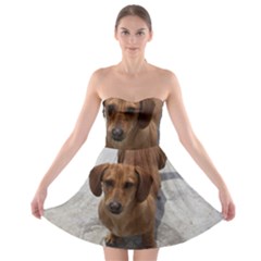 Strapless Bra Top Dress 