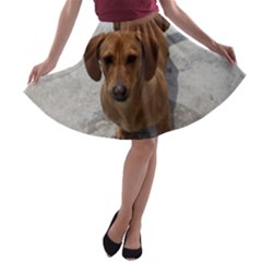 A-line Skater Skirt 