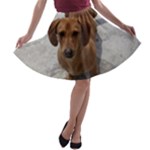 Weiner Dog A-line Skater Skirt