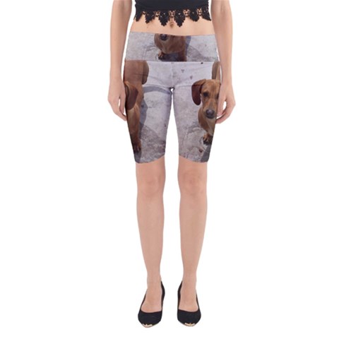 Weiner Dog Yoga Cropped Leggings from ArtsNow.com