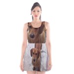 Weiner Dog Scoop Neck Skater Dress
