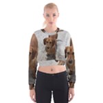 Weiner Dog Cropped Sweatshirt