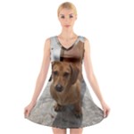 Weiner Dog V-Neck Sleeveless Dress