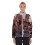 Weiner Dog Winter Jacket