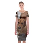 Weiner Dog Classic Short Sleeve Midi Dress