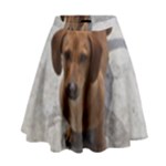 Weiner Dog High Waist Skirt