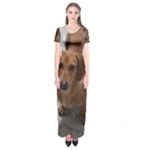 Weiner Dog Short Sleeve Maxi Dress
