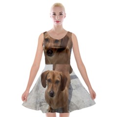Velvet Skater Dress 