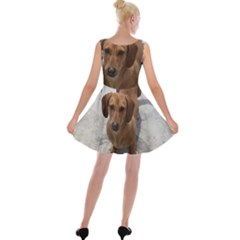 Velvet Skater Dress 