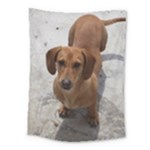 Weiner Dog Medium Tapestry
