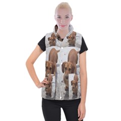 Weiner Dog Women s Button Up Puffer Vest from ArtsNow.com