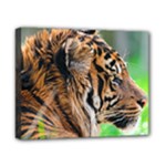 Tiger Canvas 10  x 8  (Stretched)