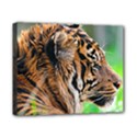 Canvas 10  x 8  (Stretched) 