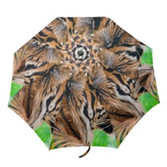 Folding Umbrella 