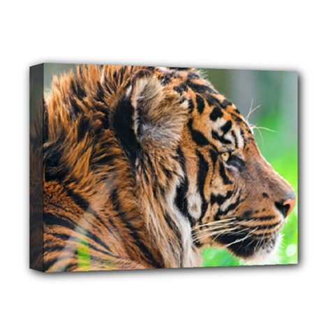 Tiger Deluxe Canvas 16  x 12  (Stretched)  from ArtsNow.com
