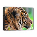 Deluxe Canvas 16  x 12  (Stretched)  