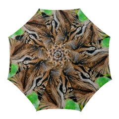 Golf Umbrella 
