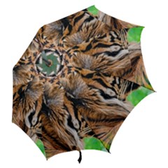 Hook Handle Umbrella (Medium) 