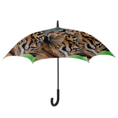 Hook Handle Umbrella (Medium) 