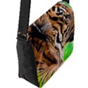 Flap Closure Messenger Bag (L) 