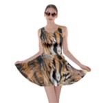 Tiger Skater Dress