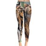 Tiger Leggings 