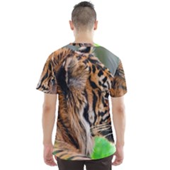 Men s Sport Mesh T-Shirt Back