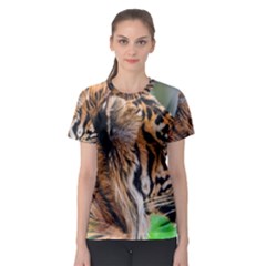 Women s Sport Mesh T-Shirt 