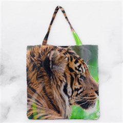 Grocery Tote Bag 
