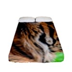 Tiger Fitted Sheet (Full/ Double Size)