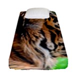 Tiger Fitted Sheet (Single Size)
