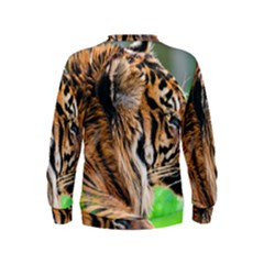 Kids  Sweatshirt 
