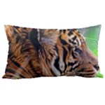 Tiger Samsung Note 4 Hardshell Back Case
