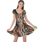Tiger Cap Sleeve Dress