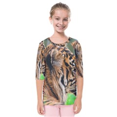 Kids  Quarter Sleeve Raglan T-Shirt 
