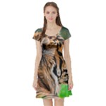 Tiger Short Sleeve Skater Dress