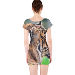Short Sleeve Bodycon Dress Back Short Sleeve Bodycon Dress Back