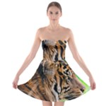 Tiger Strapless Bra Top Dress