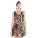Tiger Scoop Neck Skater Dress